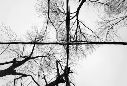 Billion Cazino Cazinou Aplicație mobilă